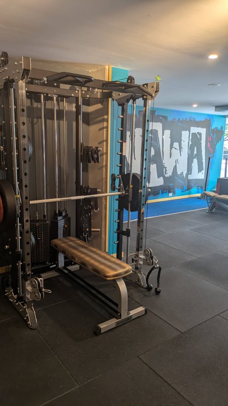 Cable machine and bench in the studio